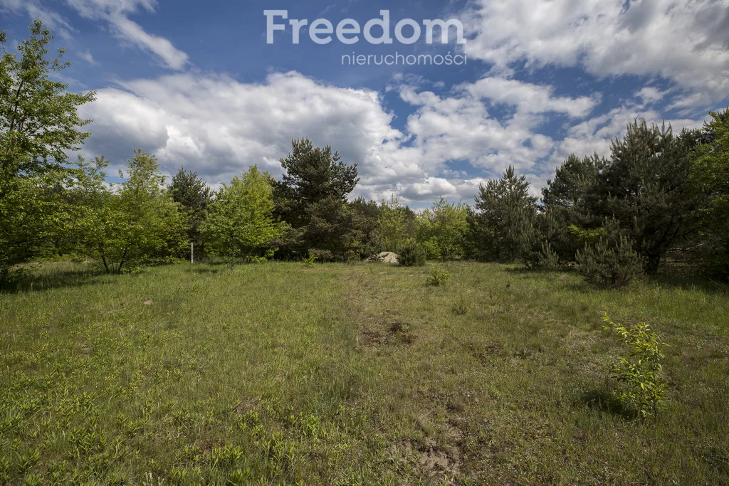 Działka 6 833,00 m², oferta nr , 10590/3685/OGS, Rudnik nad Sanem, Rzeszowska