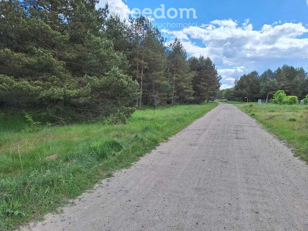 10698/3685/OGS - zdjęcie nr 2