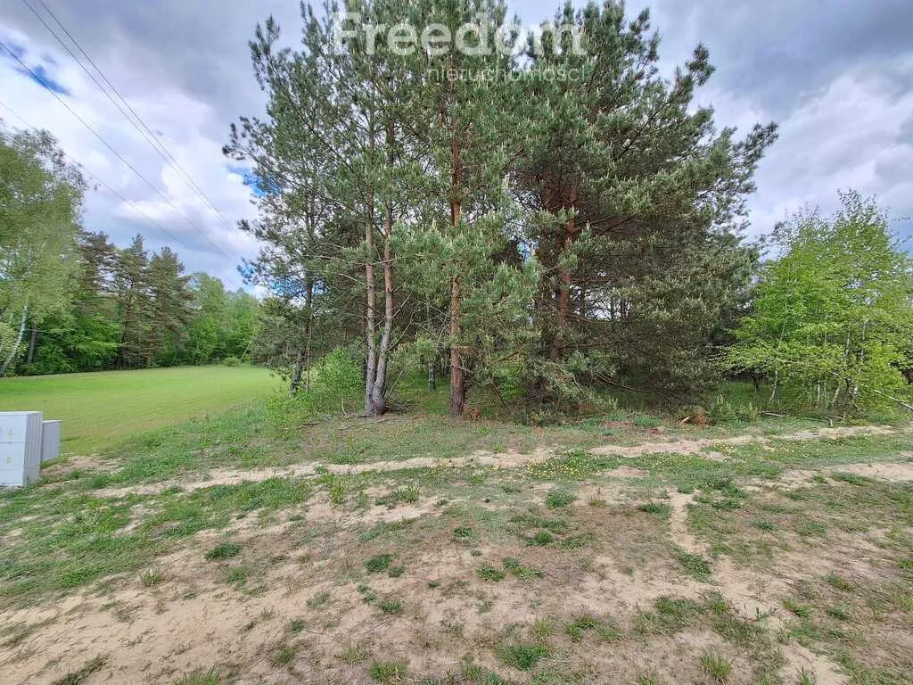 10698/3685/OGS - zdjęcie nr 3