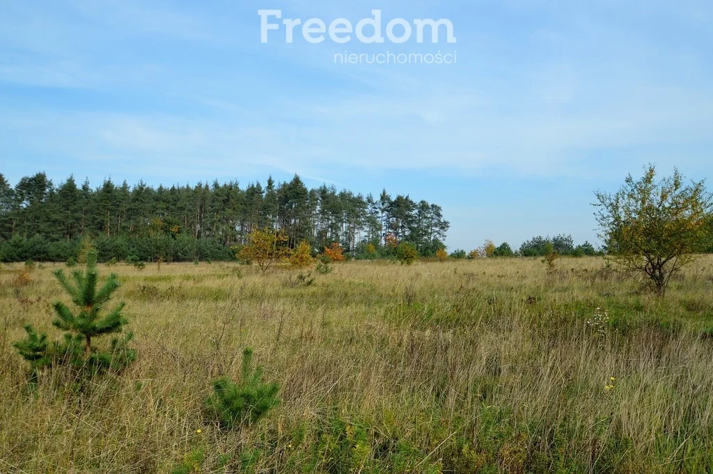 Działka 914,00 m², oferta nr , 9370/3685/OGS, Siedliska