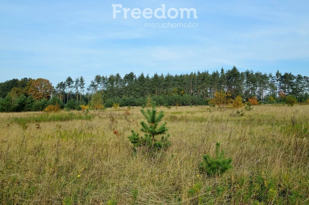 Działka 735,00 m², oferta nr , 9371/3685/OGS, Siedliska