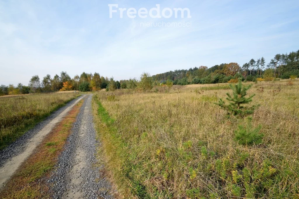 Działka 735,00 m², oferta nr , 9371/3685/OGS, Siedliska