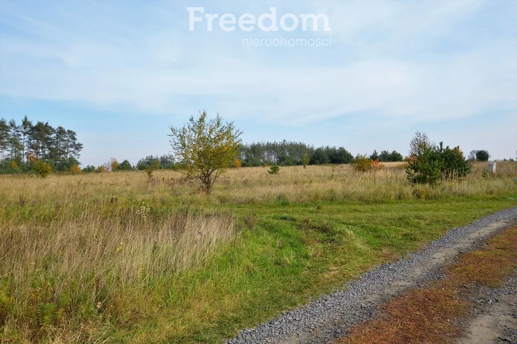 Działka 3 884,00 m², oferta nr , 11403/3685/OGS, Siedliska