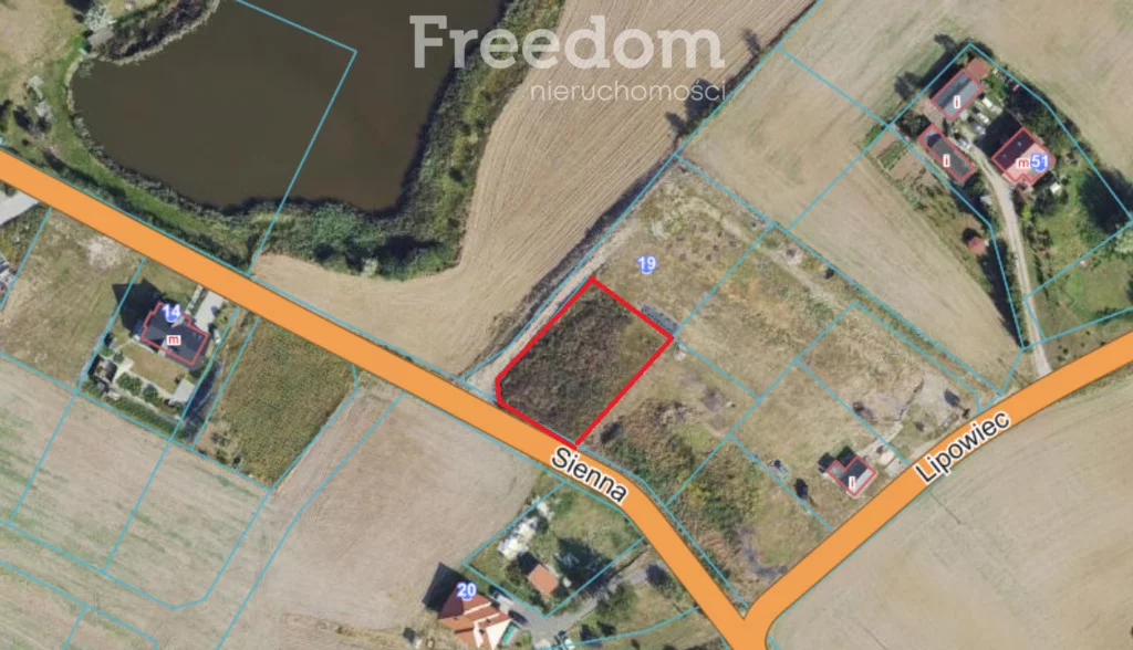 Działka 1 130,00 m², oferta nr , 11435/3685/OGS, Nowa Wieś Malborska, Sienna