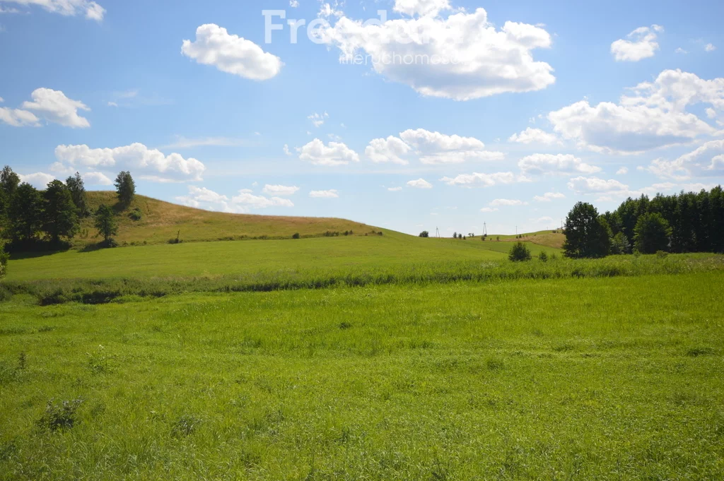Działka 6 654,00 m², oferta nr , 8943/3685/OGS, Skomack Wielki