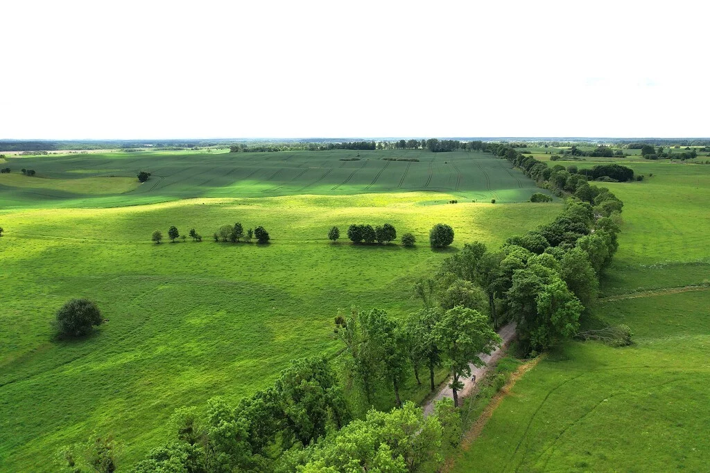 10742/3685/OGS - zdjęcie nr 0