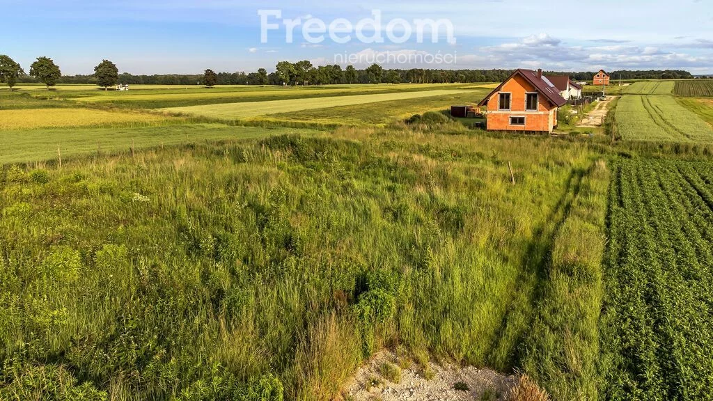 Działka 1 046,00 m², oferta nr , 10889/3685/OGS, Zacharzowice, Słoneczna
