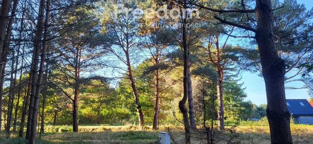 Działka 4 128,00 m², oferta nr , 8953/3685/OGS, Smołdziński Las