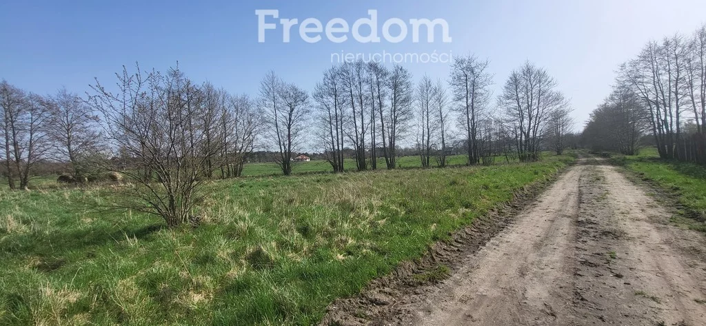 Działka 962,00 m², oferta nr , 9983/3685/OGS, Smołdziński Las