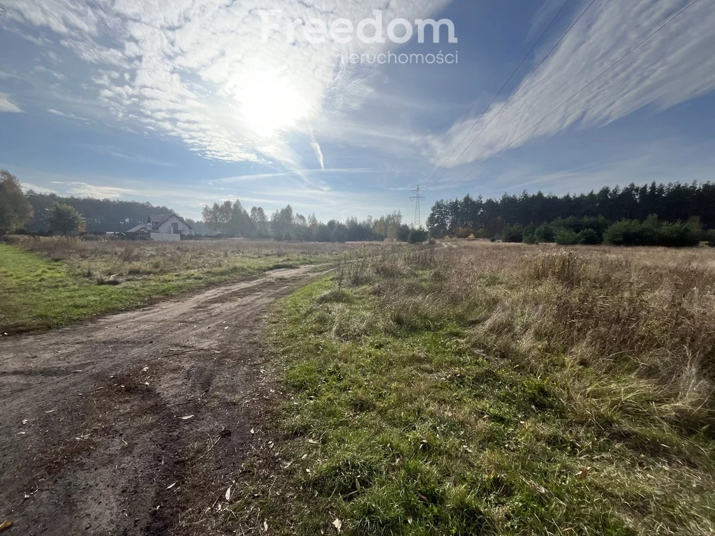 Działka 2 000,00 m², oferta nr , 9017/3685/OGS, Zamek Bierzgłowski, Sosnowa