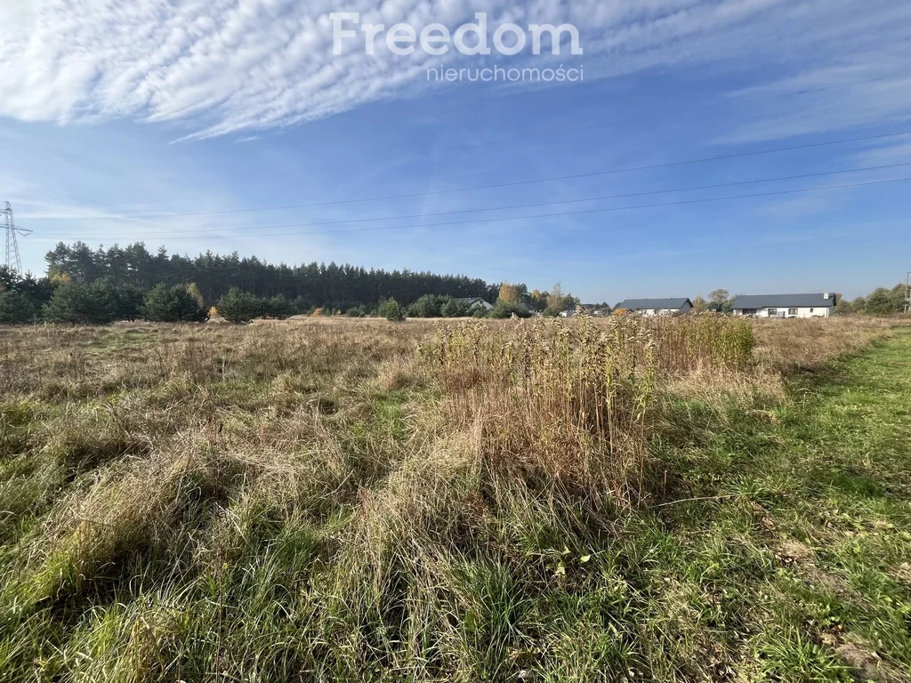 Działka 2 000,00 m², oferta nr , 9017/3685/OGS, Zamek Bierzgłowski, Sosnowa