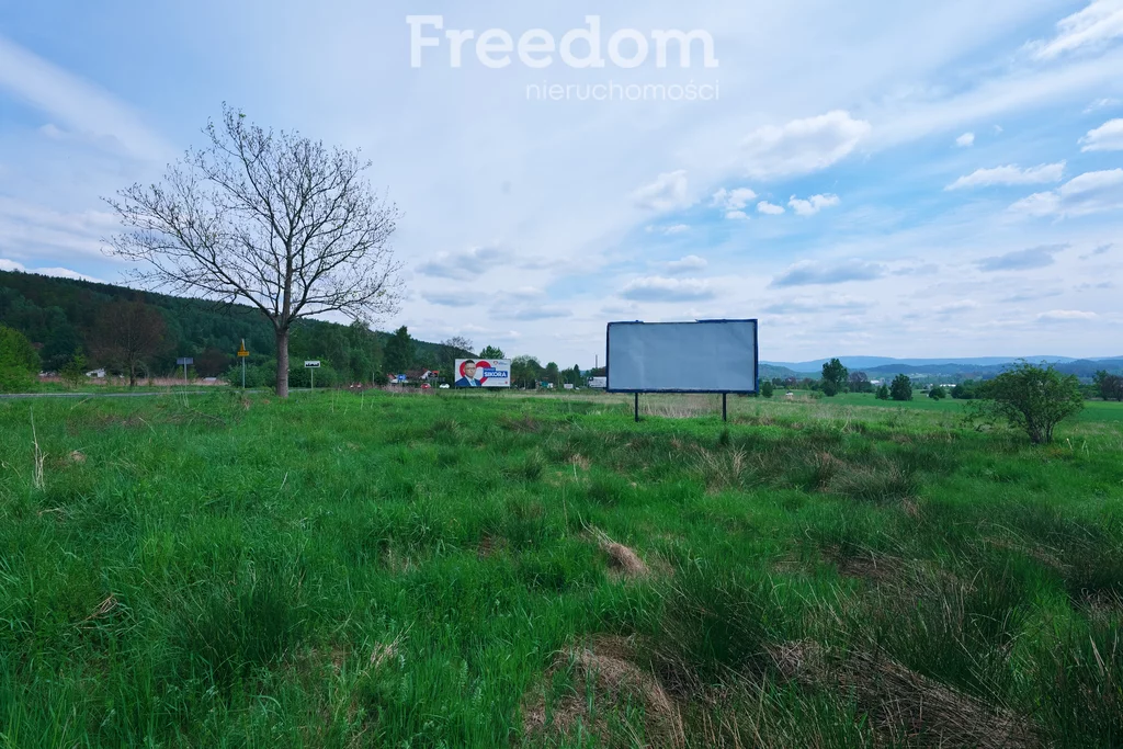 Działka 3 986,00 m², oferta nr , 10206/3685/OGS, Jelenia Góra, Goduszyn, Spółdzielcza