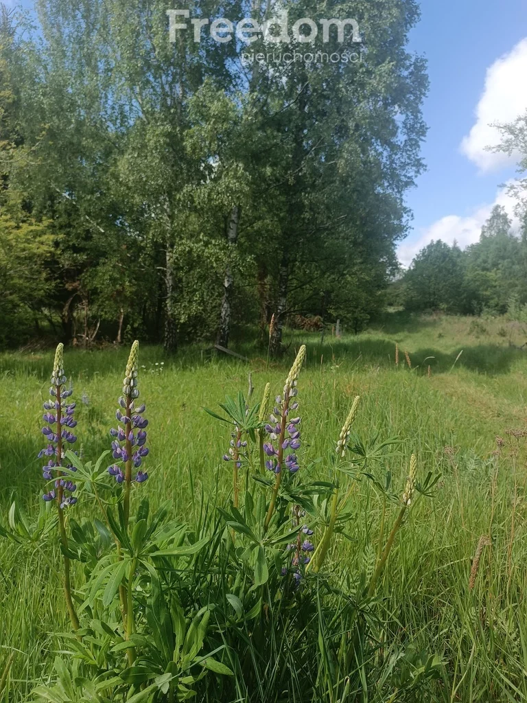 Apartamenty 10699/3685/OGS Spręcowo