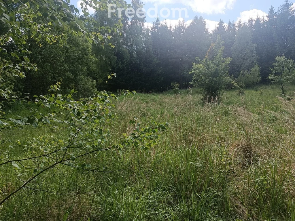 10699/3685/OGS - zdjęcie nr 3