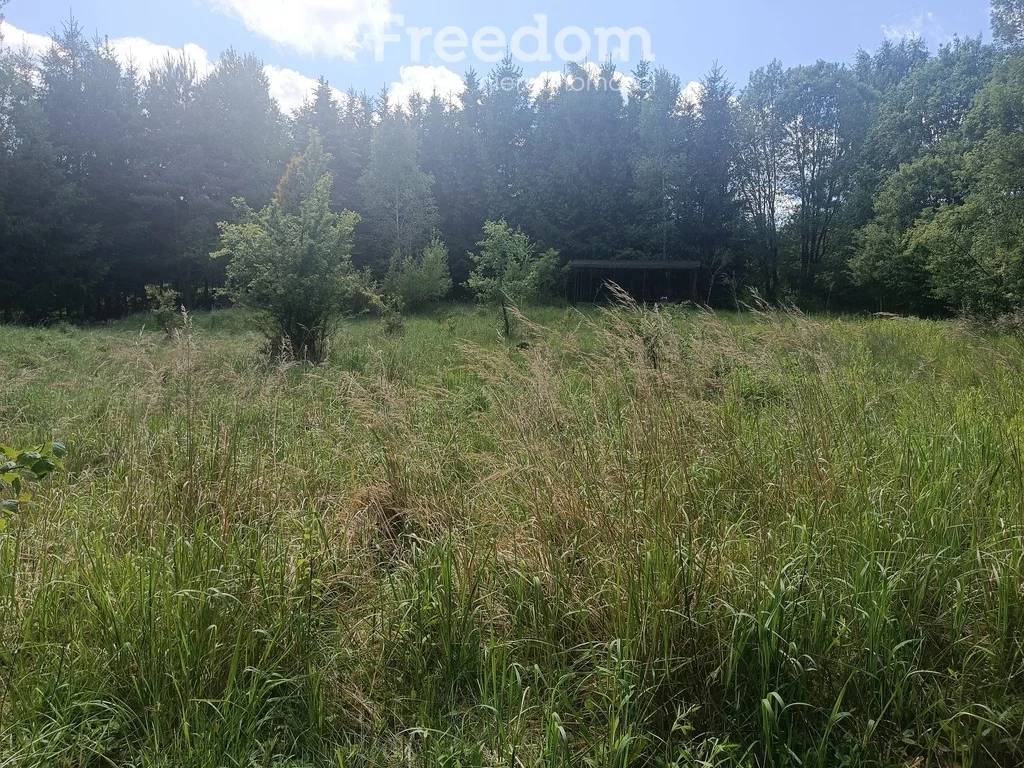 10699/3685/OGS - zdjęcie nr 4