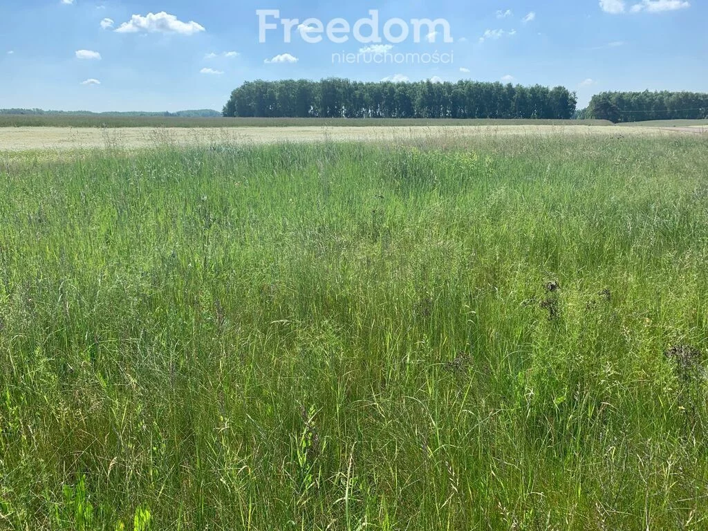 Działka 2 193,00 m², oferta nr , 11254/3685/OGS, Młyńsk, Stanisława Mikołajczyka
