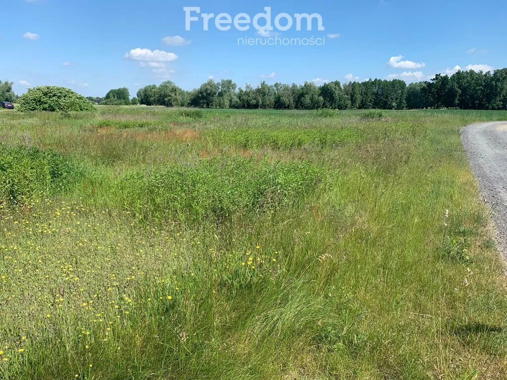 Działka 2 193,00 m², oferta nr , 11254/3685/OGS, Młyńsk, Stanisława Mikołajczyka