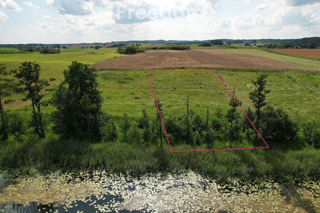 11050/3685/OGS - zdjęcie nr 3