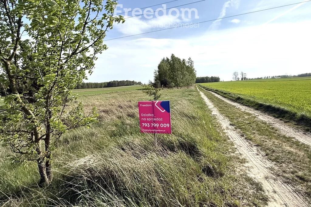 10430/3685/OGS - zdjęcie nr 0