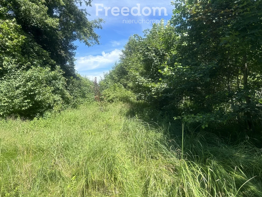 Działka 5 000,00 m², oferta nr , 8144/3685/OGS, Staw