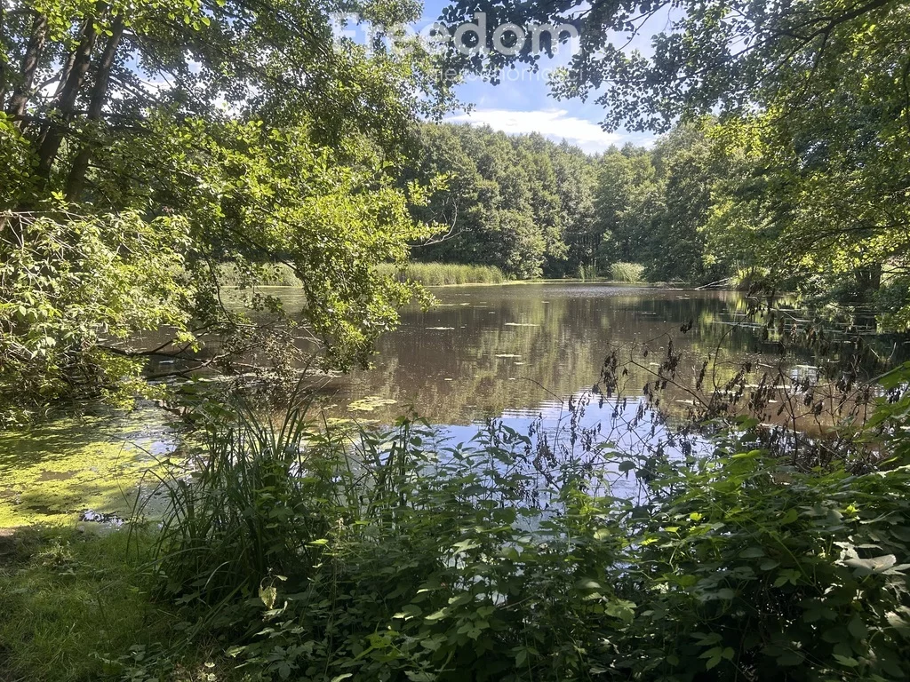 Działka 5 000,00 m², oferta nr , 8144/3685/OGS, Staw