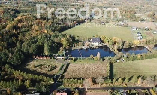 Działka 48 301,00 m², oferta nr , 10213/3685/OGS, Mysłakowice, Stawowa