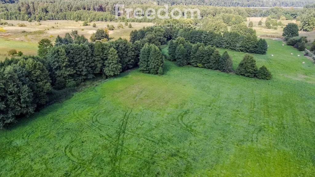 Działka 26 300,00 m², oferta nr , 8585/3685/OGS, Strączno
