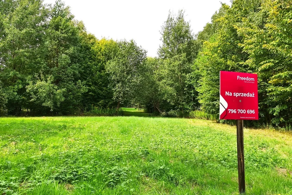 Działka 36 600,00 m², oferta nr , 8575/3685/OGS, Strzebula