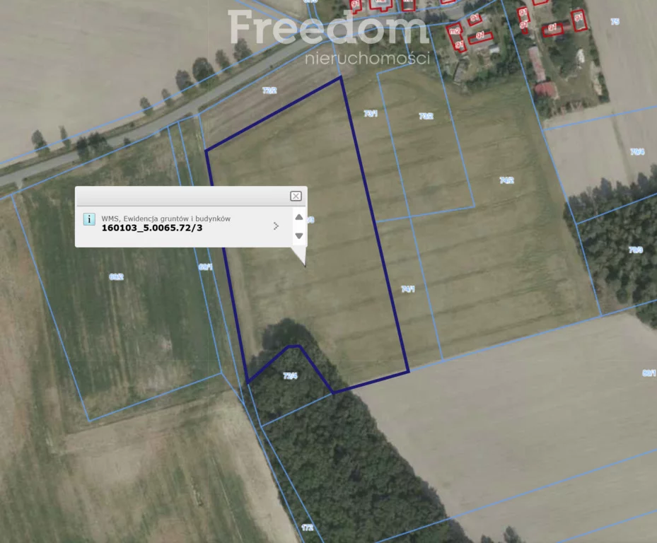 Działka 21 000,00 m², oferta nr , 10406/3685/OGS, Strzegów
