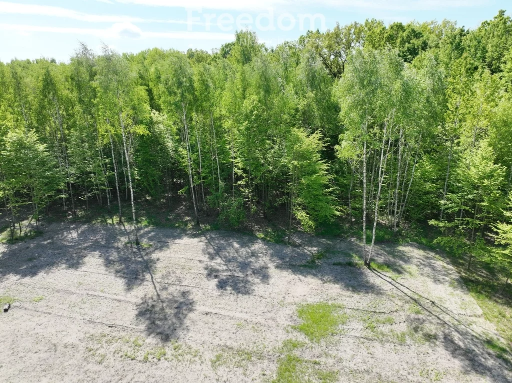 Działka 4 058,00 m², oferta nr , 10519/3685/OGS, Studzieniec