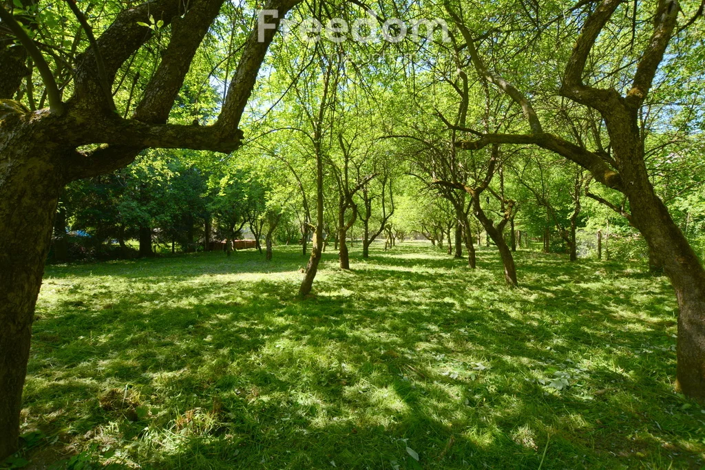 Działka 1 727,00 m², oferta nr , 10613/3685/OGS, Sucha Beskidzka