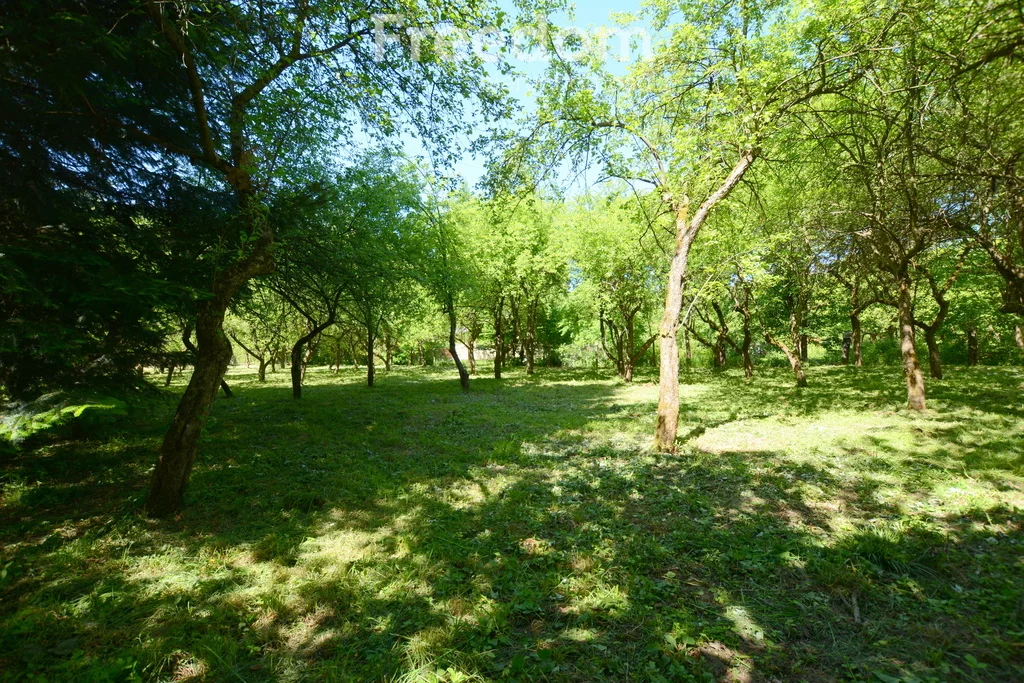 Działka 1 727,00 m², oferta nr , 10613/3685/OGS, Sucha Beskidzka