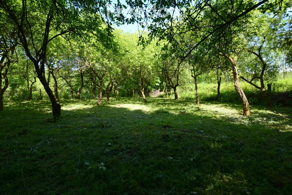 Działka 1 727,00 m², oferta nr , 10613/3685/OGS, Sucha Beskidzka