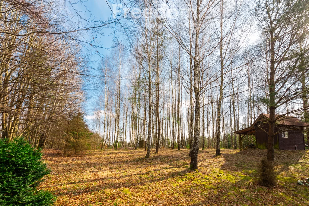 Działka 21 349,00 m², oferta nr , 10486/3685/OGS, Sucha Huta