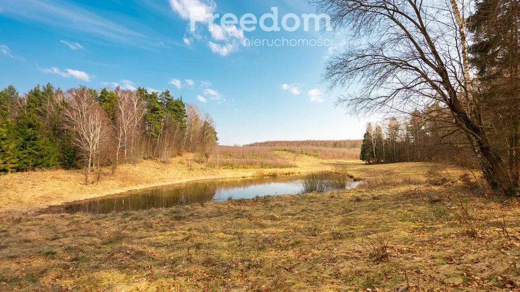 Działka 21 349,00 m², oferta nr , 10486/3685/OGS, Sucha Huta