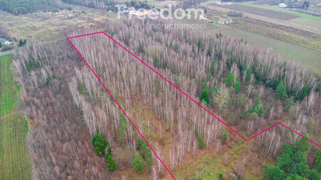 Działka 18 600,00 m², oferta nr , 9235/3685/OGS, Suchostruga