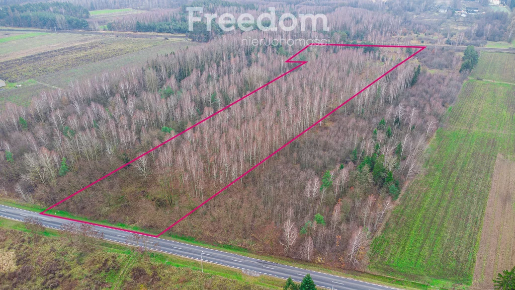 Działka 18 600,00 m², oferta nr , 9235/3685/OGS, Suchostruga