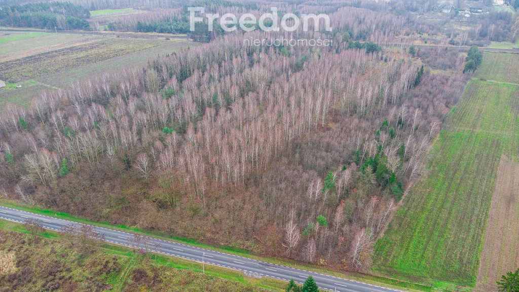 Działka 18 600,00 m², oferta nr , 9235/3685/OGS, Suchostruga