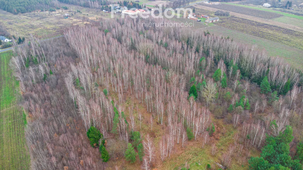 Działka 18 600,00 m², oferta nr , 9235/3685/OGS, Suchostruga