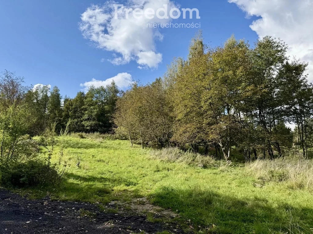 Działka 9 796,00 m², oferta nr , 11415/3685/OGS, Rzeszów, św. Rocha