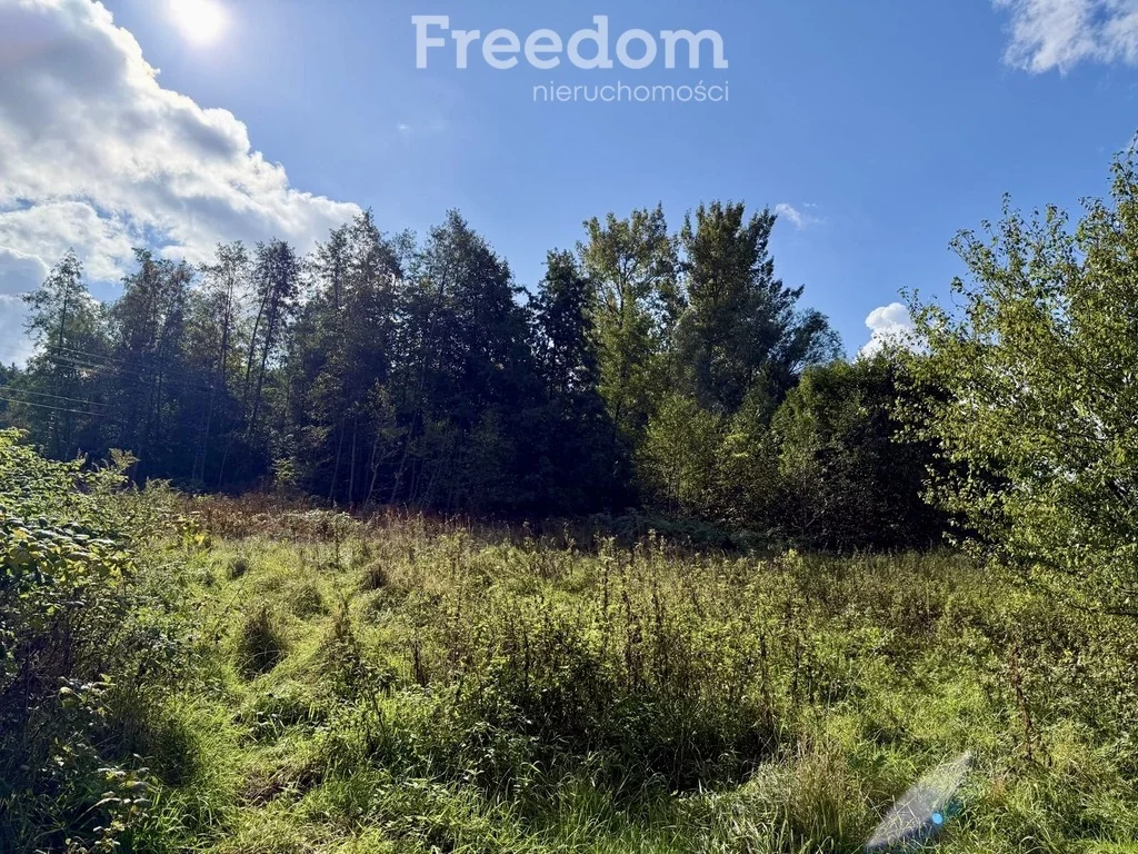 Działka 9 796,00 m², oferta nr , 11415/3685/OGS, Rzeszów, św. Rocha
