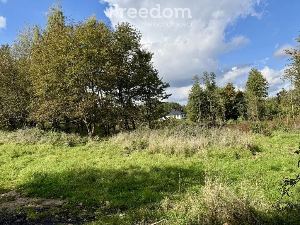 Działka 9 796,00 m², oferta nr , 11415/3685/OGS, Rzeszów, św. Rocha