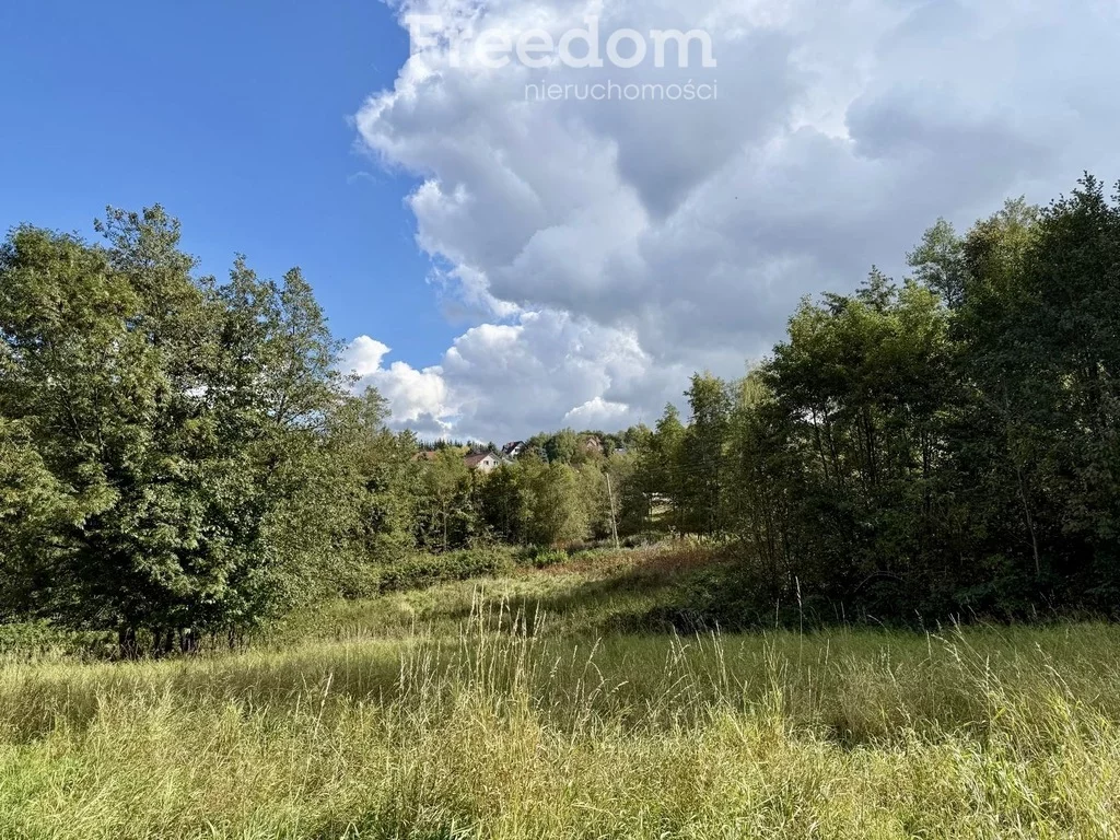 Działka 9 796,00 m², oferta nr , 11415/3685/OGS, Rzeszów, św. Rocha