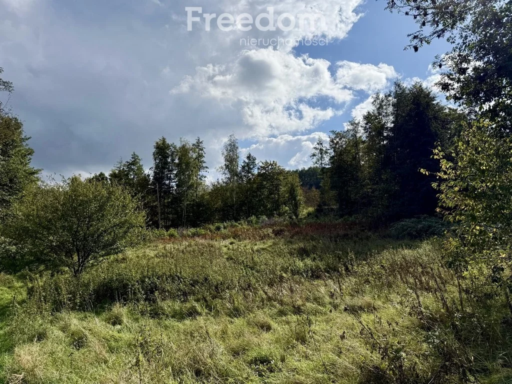 Działka 9 796,00 m², oferta nr , 11415/3685/OGS, Rzeszów, św. Rocha