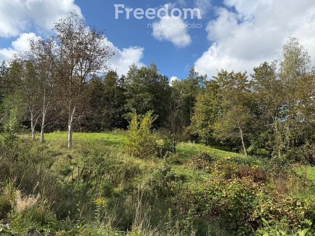 Działka 9 796,00 m², oferta nr , 11415/3685/OGS, Rzeszów, św. Rocha