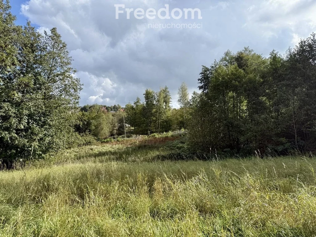 Działka 9 796,00 m², oferta nr , 11415/3685/OGS, Rzeszów, św. Rocha