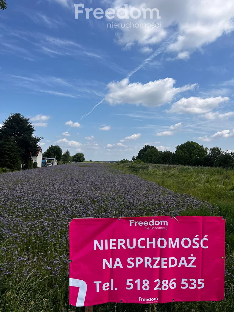 10773/3685/OGS - zdjęcie nr 2