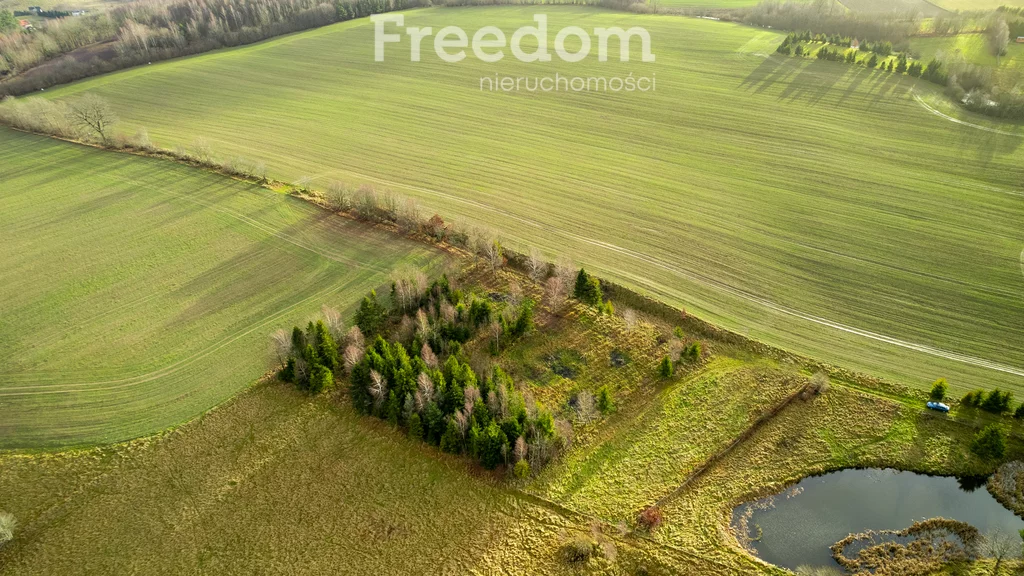 Działka 3 987,00 m², oferta nr , 10278/3685/OGS, Klonowo Górne, Świerkowa