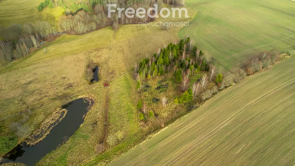 Działka 3 987,00 m², oferta nr , 10278/3685/OGS, Klonowo Górne, Świerkowa