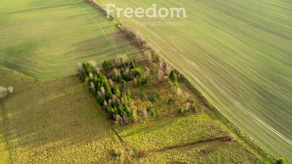 Działka 3 987,00 m², oferta nr , 10278/3685/OGS, Klonowo Górne, Świerkowa
